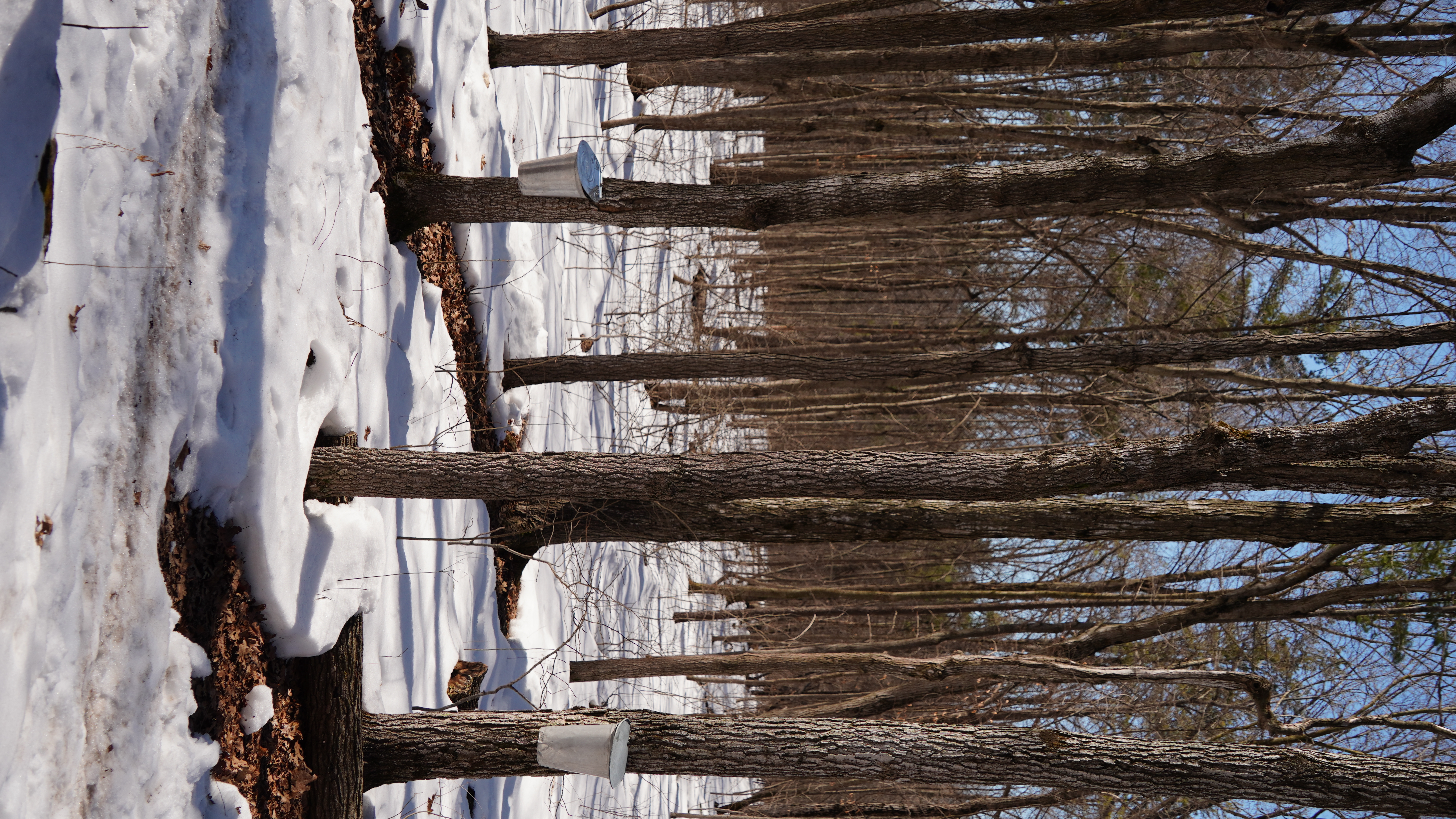 WestfieldHeritageVillage06